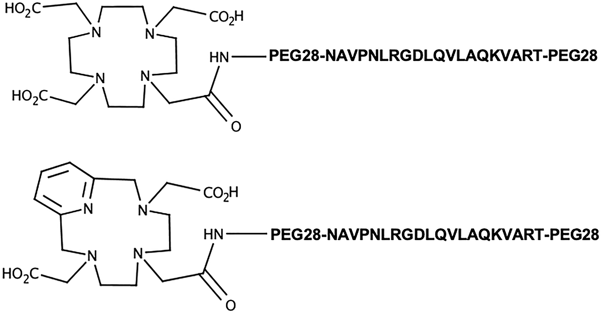 Structures of the ανβ6-targeting ligands investigated herein.