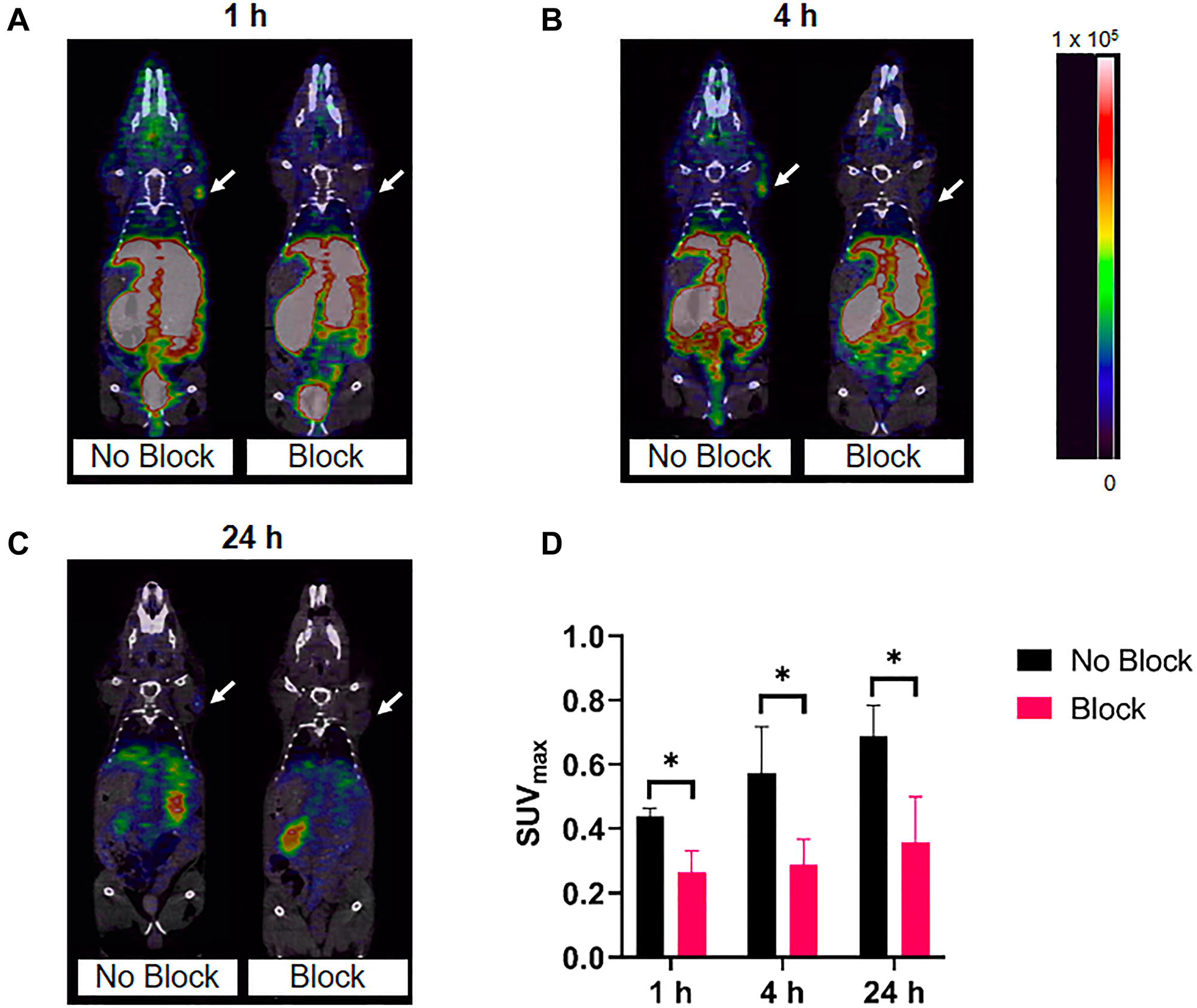 Representative micro-PET/CT co-registration images of [64Cu]Cu-DOTA-(PEG28)2-A20FMDV2 in athymic nude mice bearing BxPC-3 tumors (n = 3).