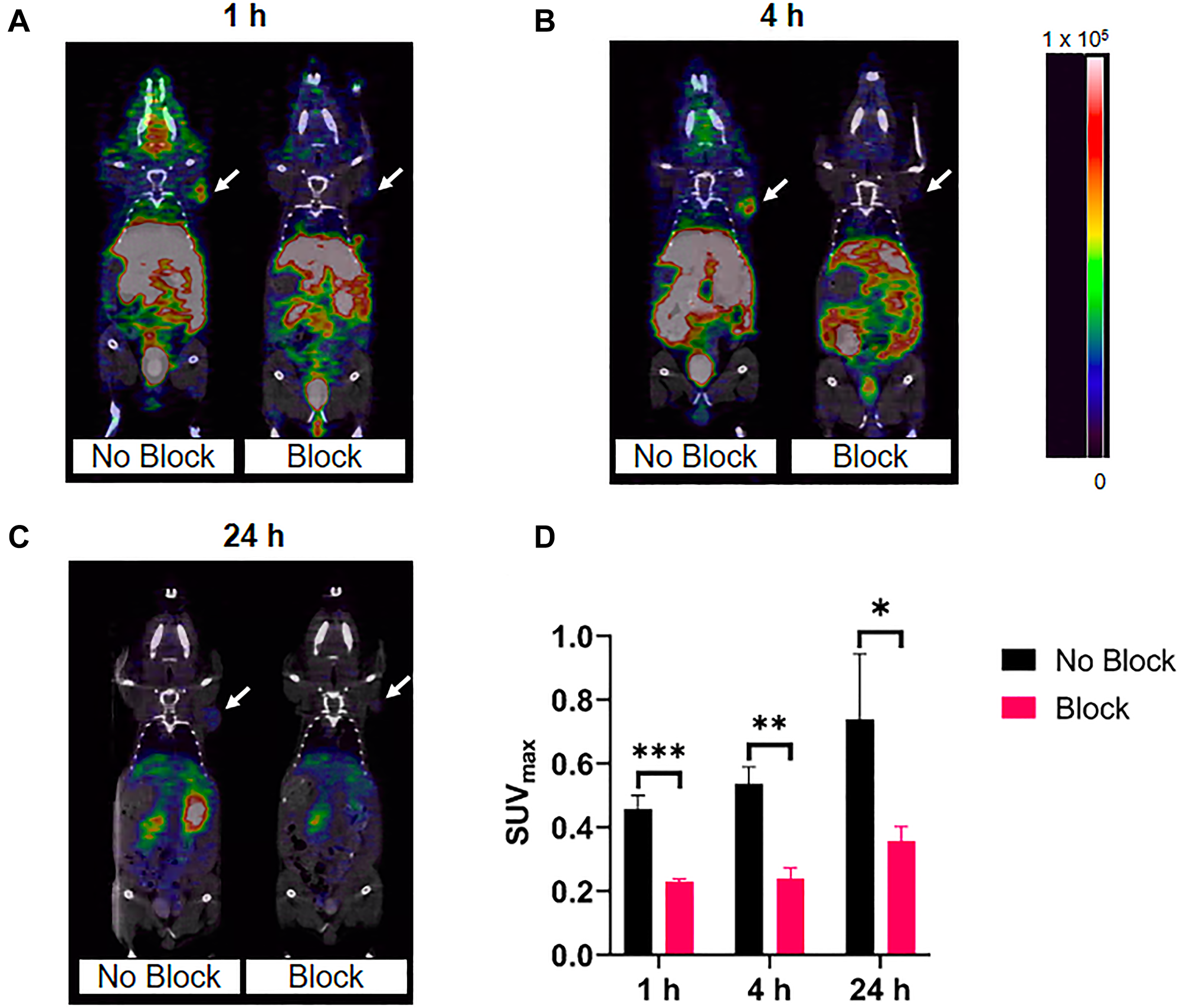Representative micro-PET/CT co-registration images of [64Cu]Cu-PCTA-(PEG28)2-A20FMDV2 in athymic nude mice bearing BxPC-3 tumors (n = 3).