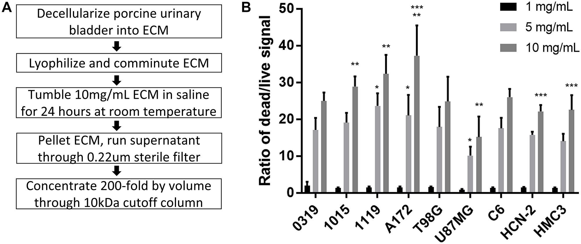 ECM-SF isolation and effect on glioma cells.