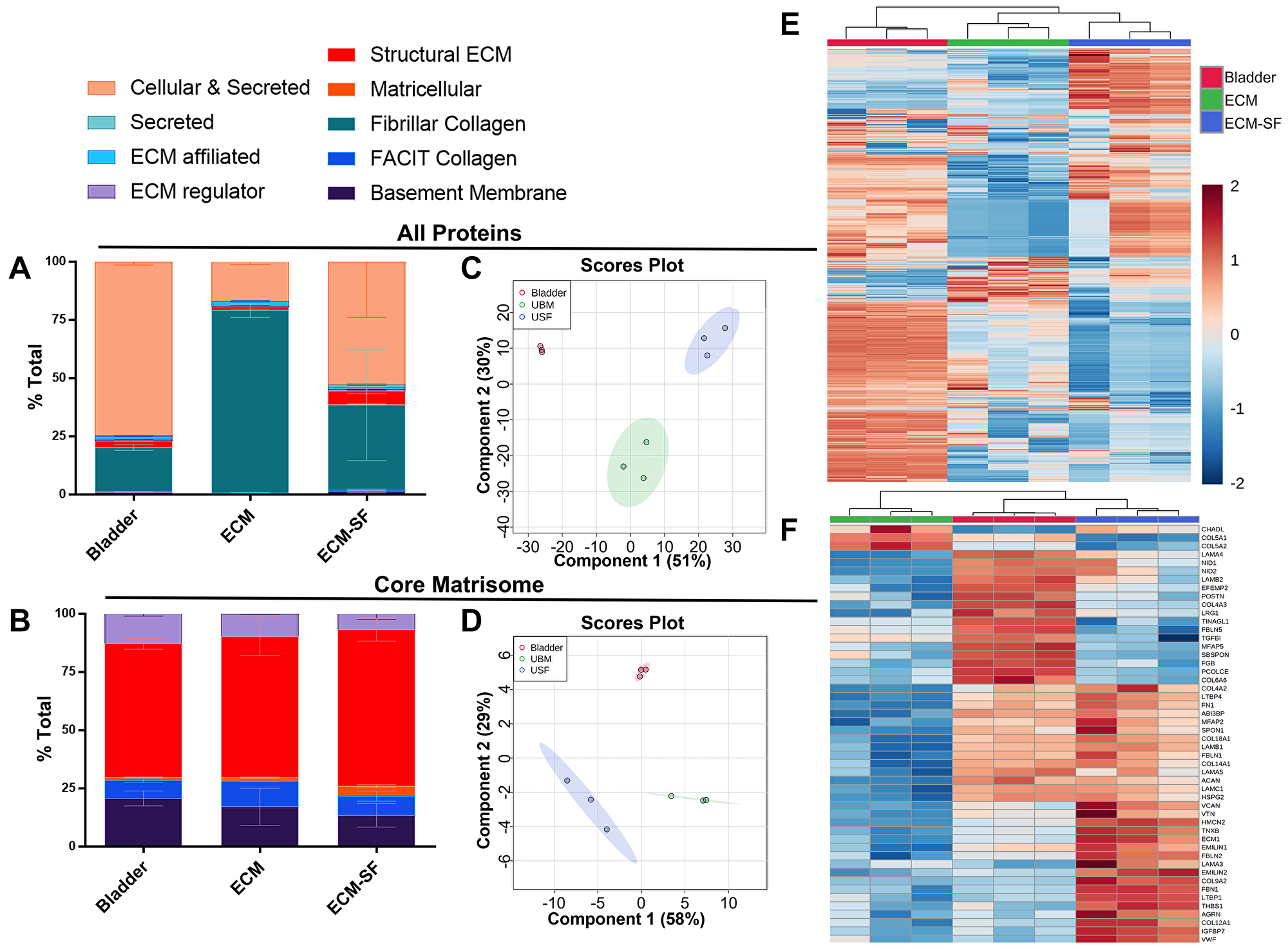 Global and targeted proteomic analysis of bladder, ECM, and ECM-SF.