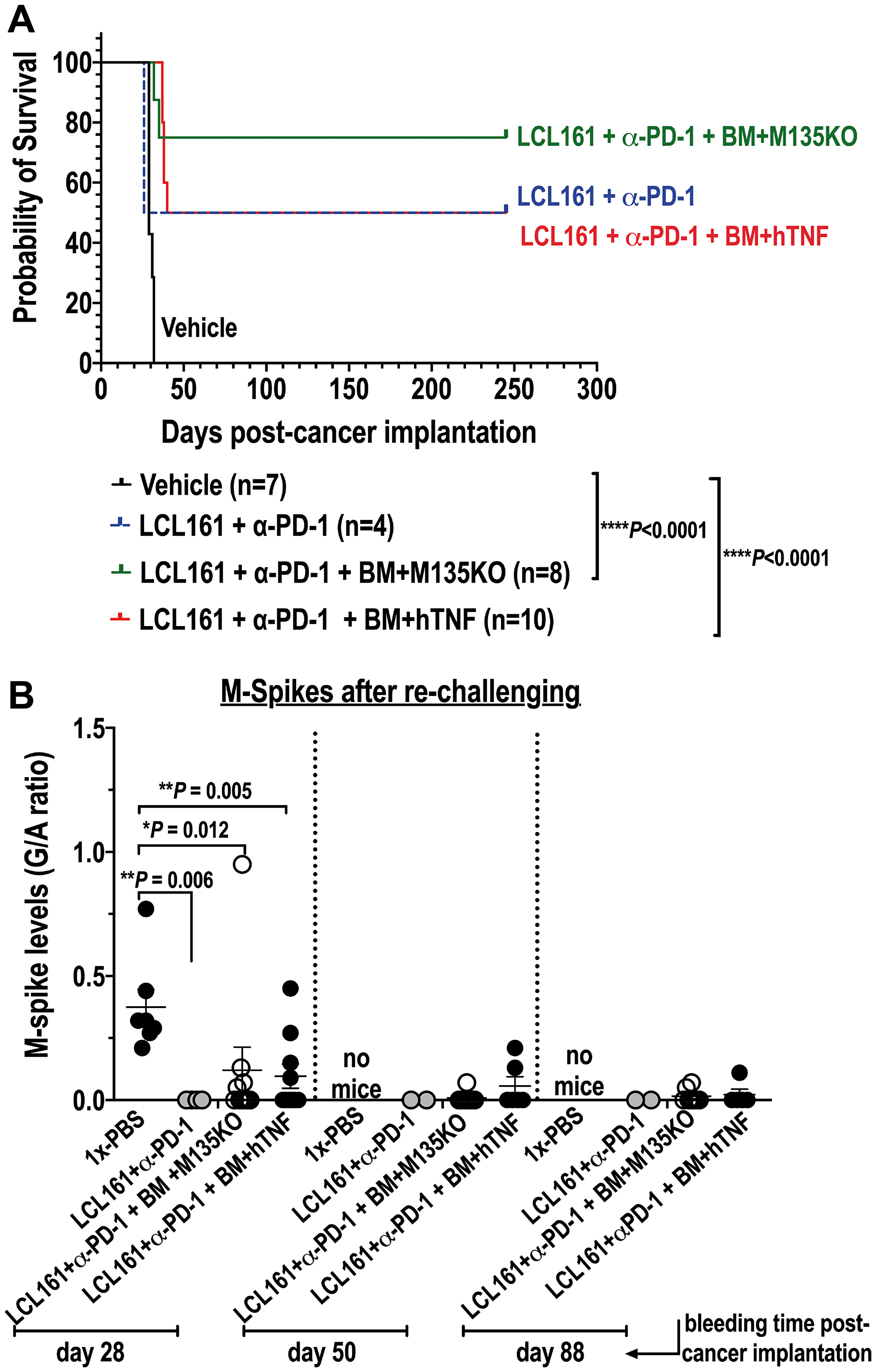 Combination therapy with auto-BM ex vivo loaded with either un-armed or hTNF armed MYXV with LCL161 and α-PD-1curative to mice seeded with BOR-resistant Vk12598 cells.