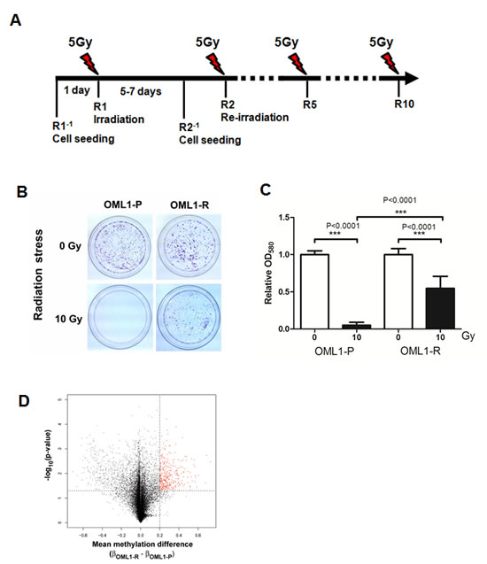 Establishment of a radioresistant oral cancer cell subline and its differential methylation profile.