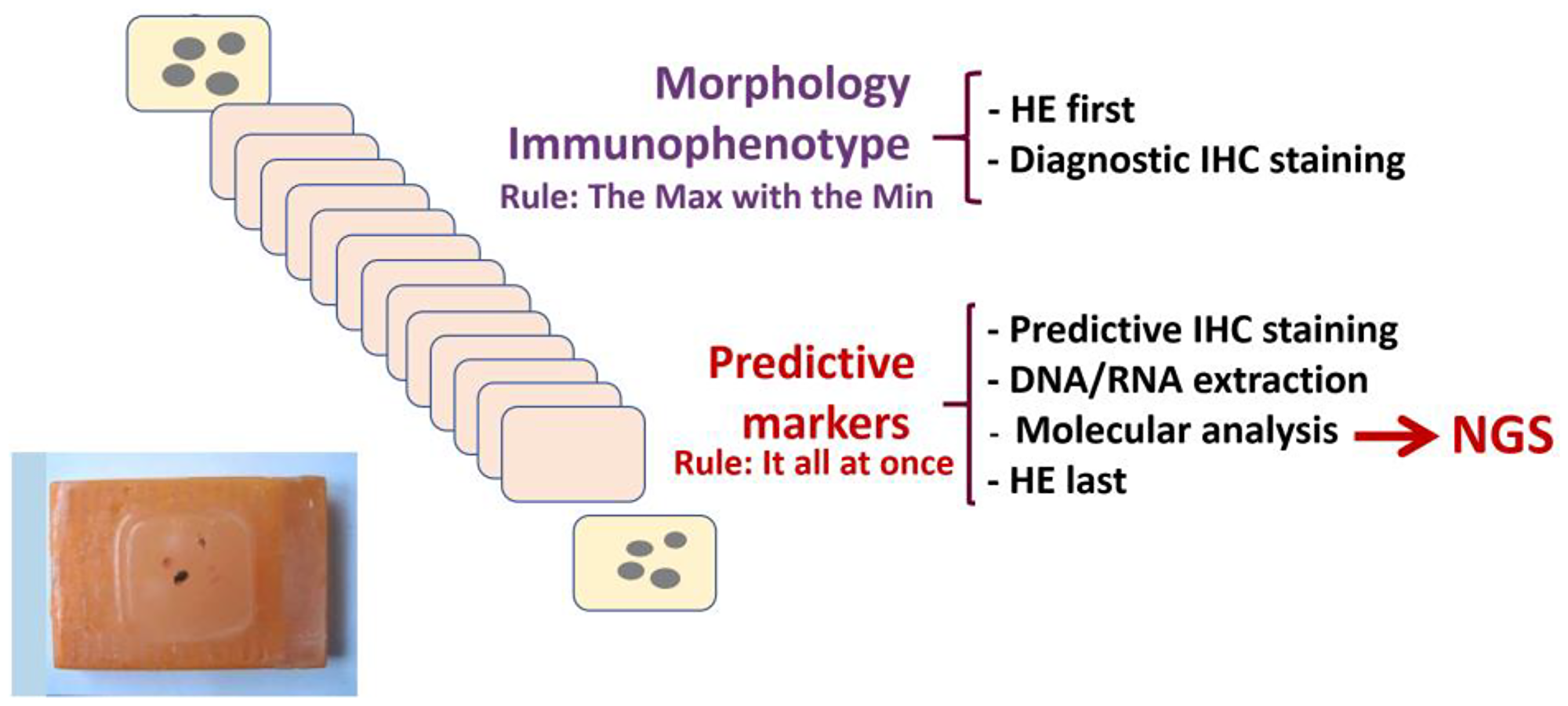 Optimization of the pre-analytical workflow for paraffin-embedded biopsy/cytology material.