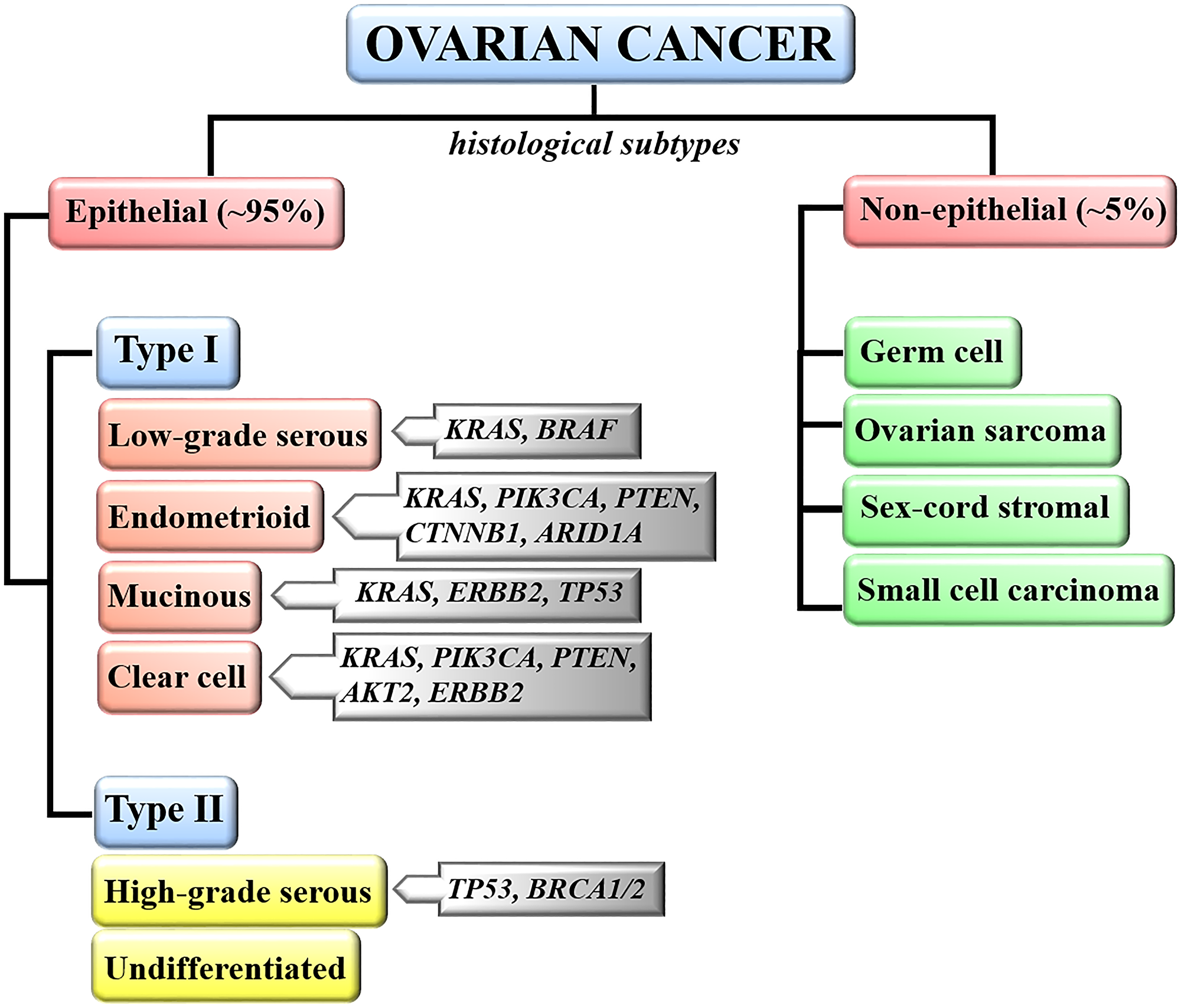 Classification of ovarian malignancies.