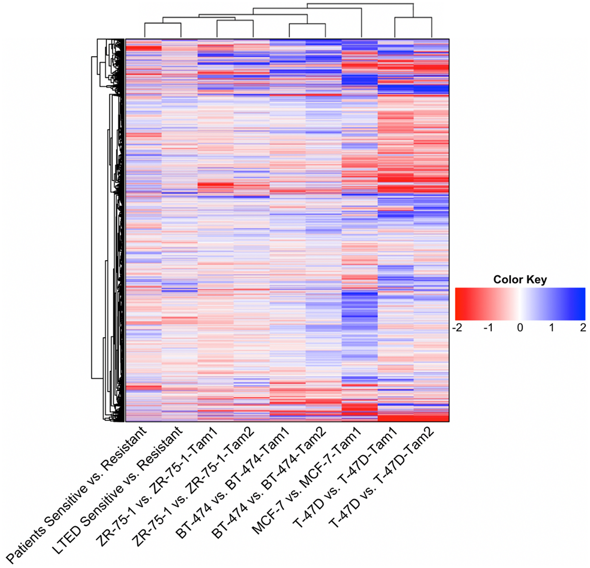 Heatmap of the global gene expression patterns between cell-based models of endocrine resistance and patient data.