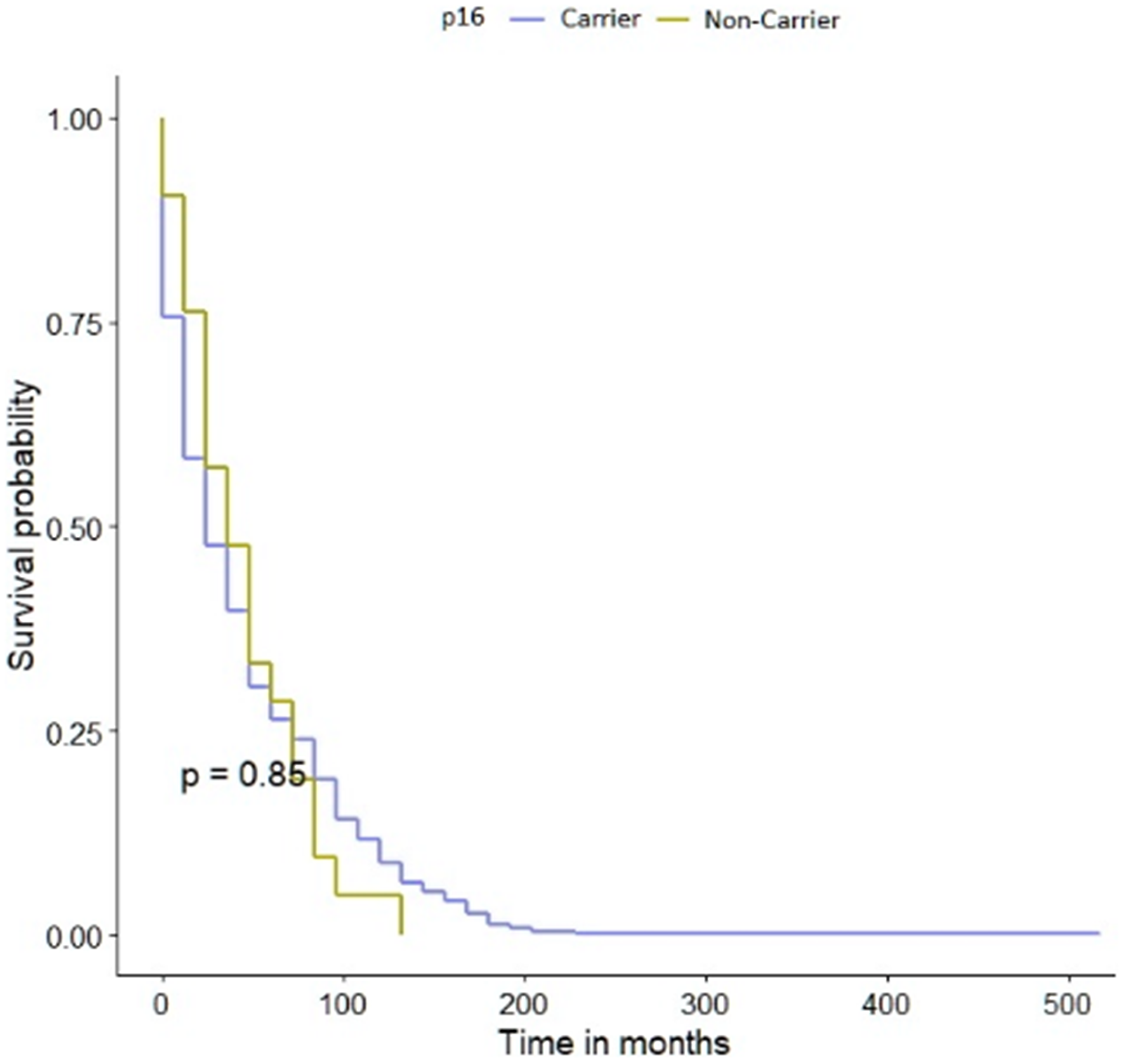 Kaplan-Meier survival curves of bladder cancer patients with CDKN2A polymorphism and -negative sub-cohorts.