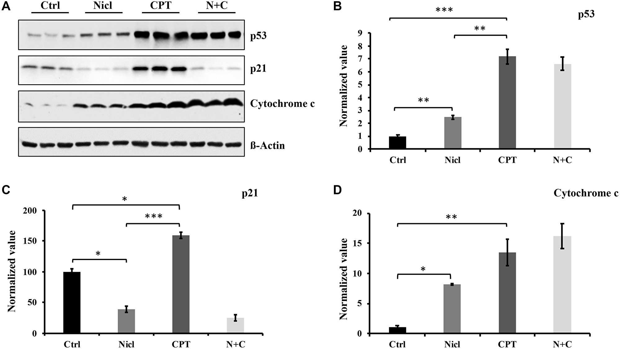 Niclosamide enhances p53 protein and cytochrome c expression but suppresses p21 expression.