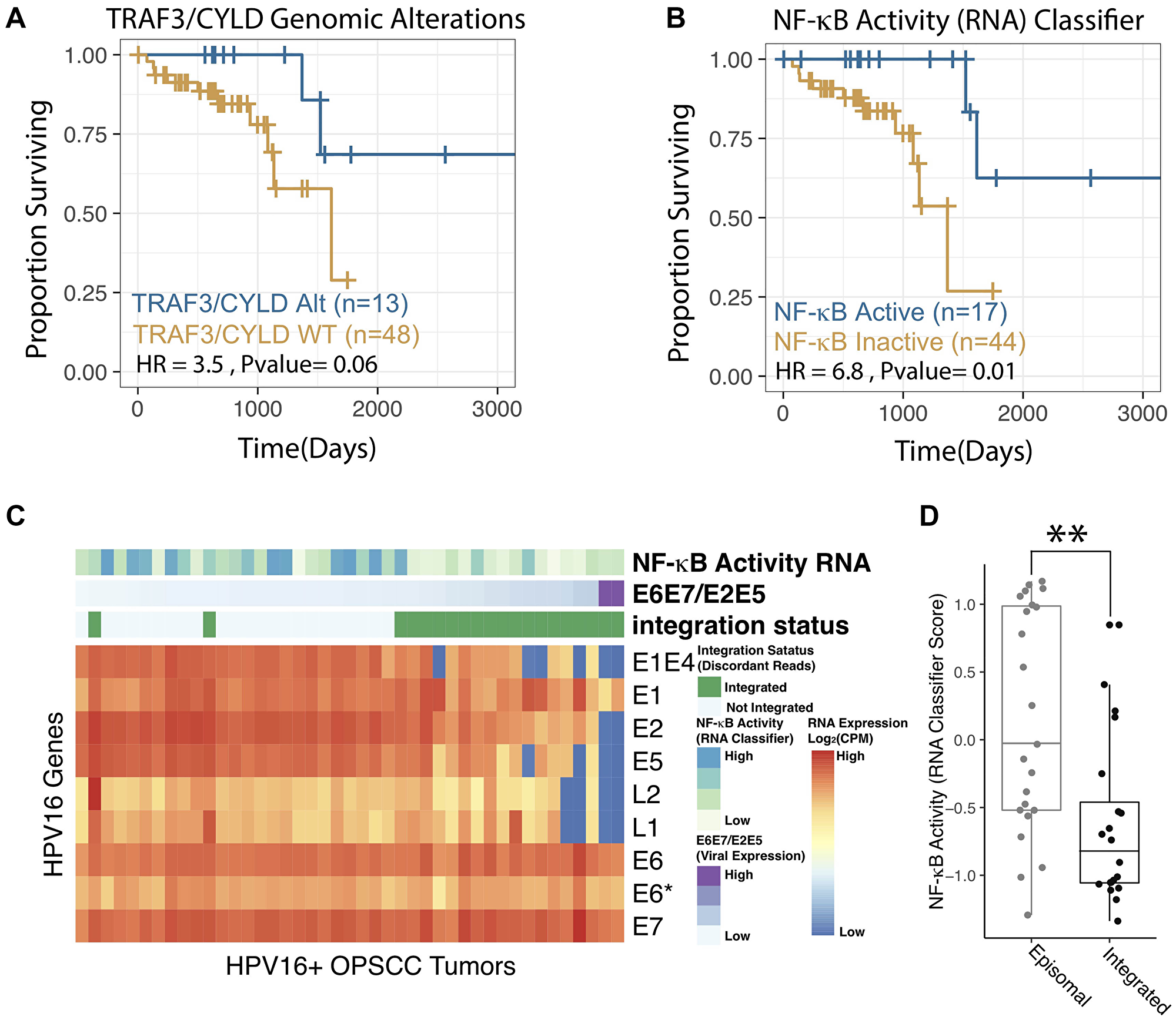 NF-κB activity classifier correlates with patient outcomes and viral integration status.