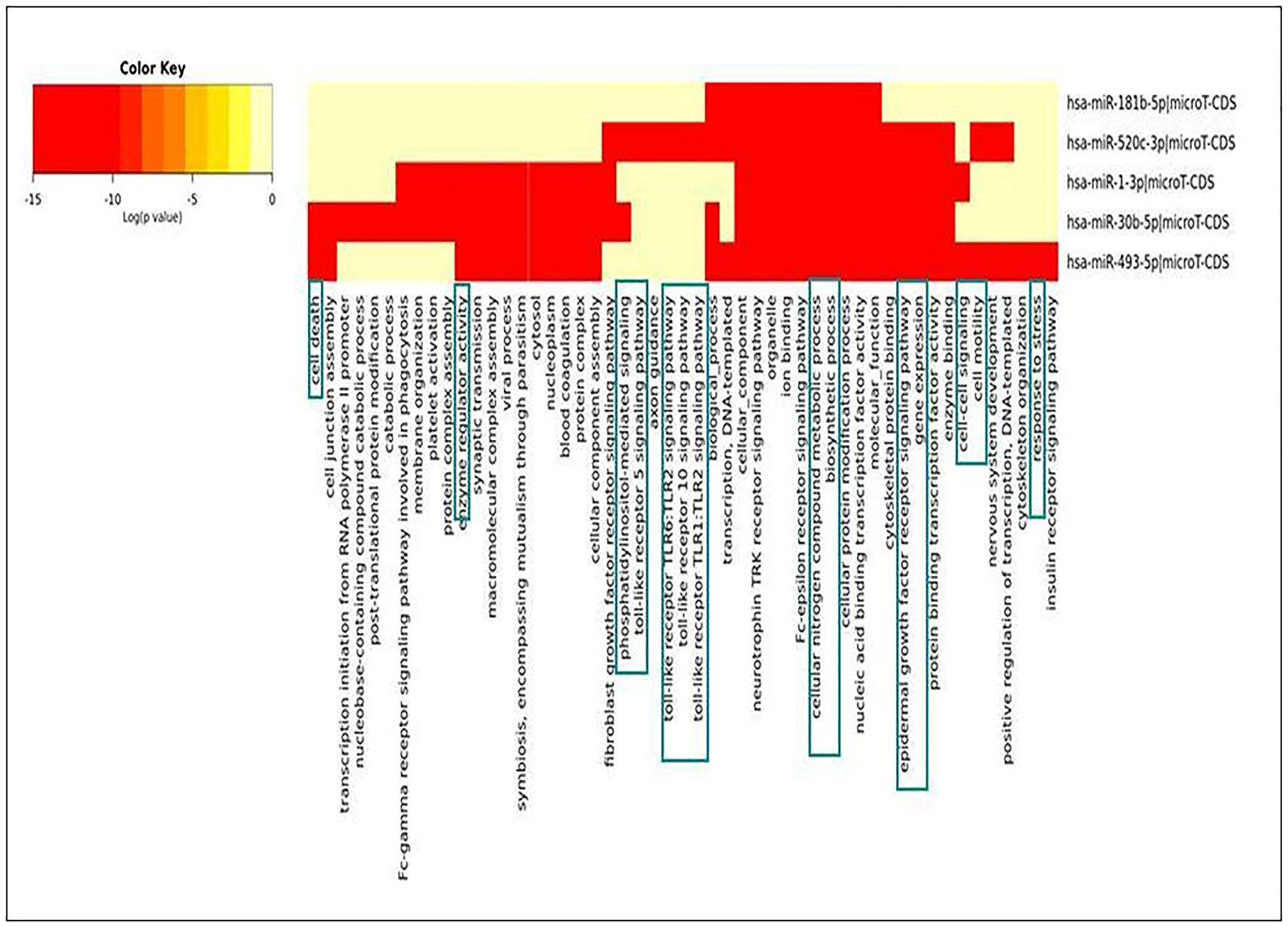 Heat-map generated for identified down-regulated miRNAs during NSCLC.