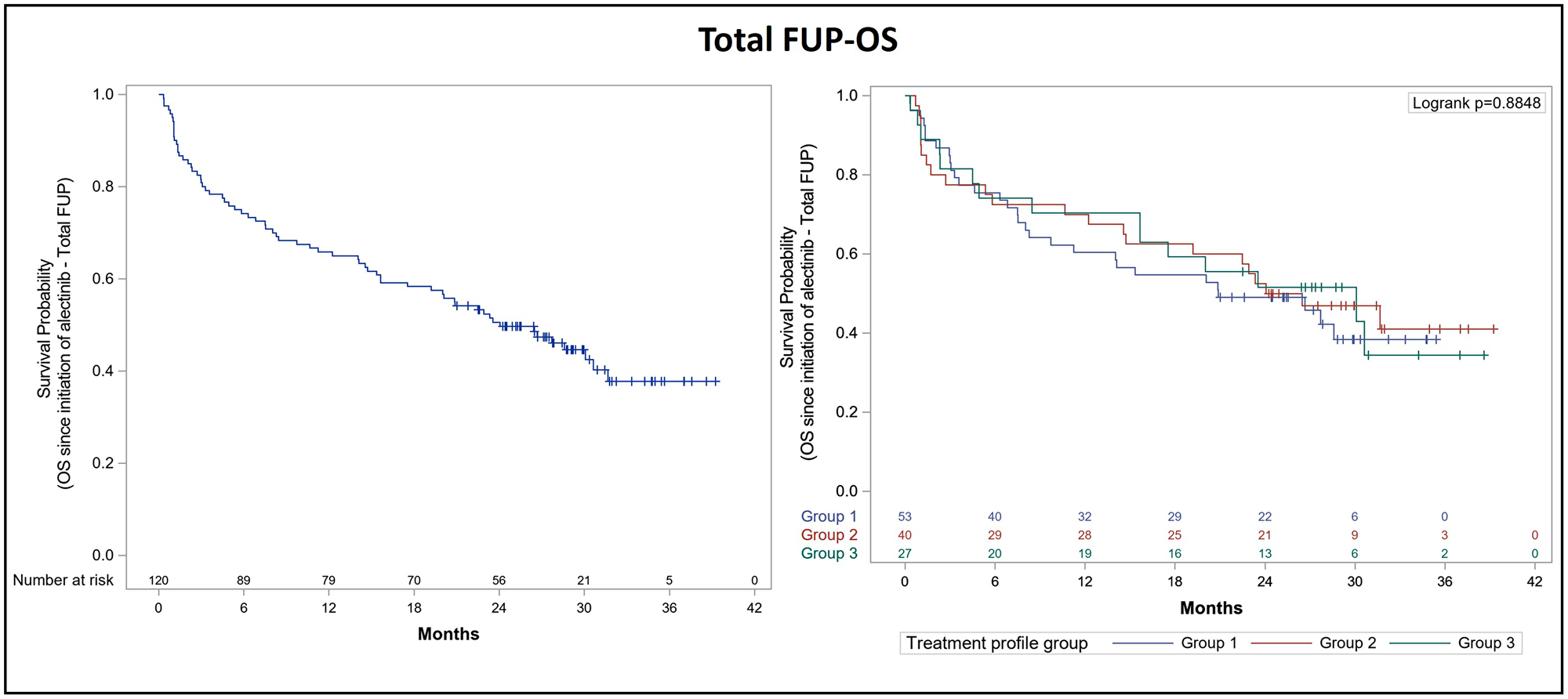 Kaplan-Meier curve for overall survival after total follow-up of ALK+ NSCLC patients treated with alectinib.