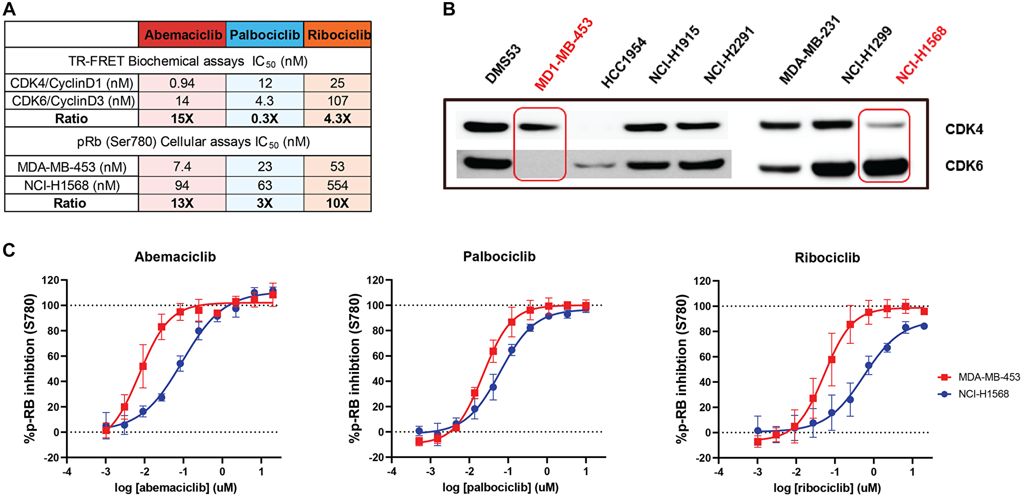 Abemaciclib is a more potent inhibitor of CDK4 than CDK6 in both biochemical and in vitro cell-based assays.