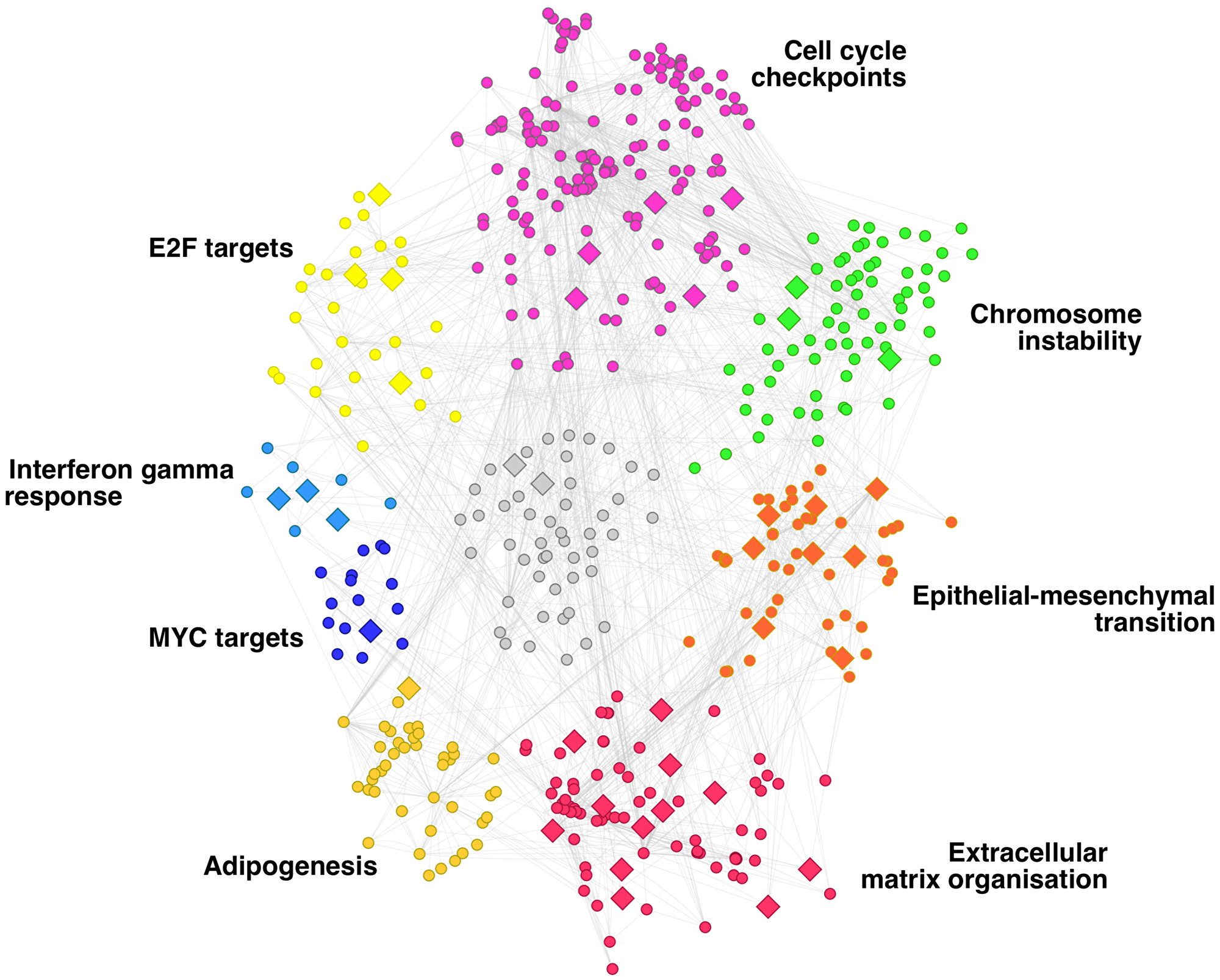 Gene regulatory network of breast cancer metastasis.