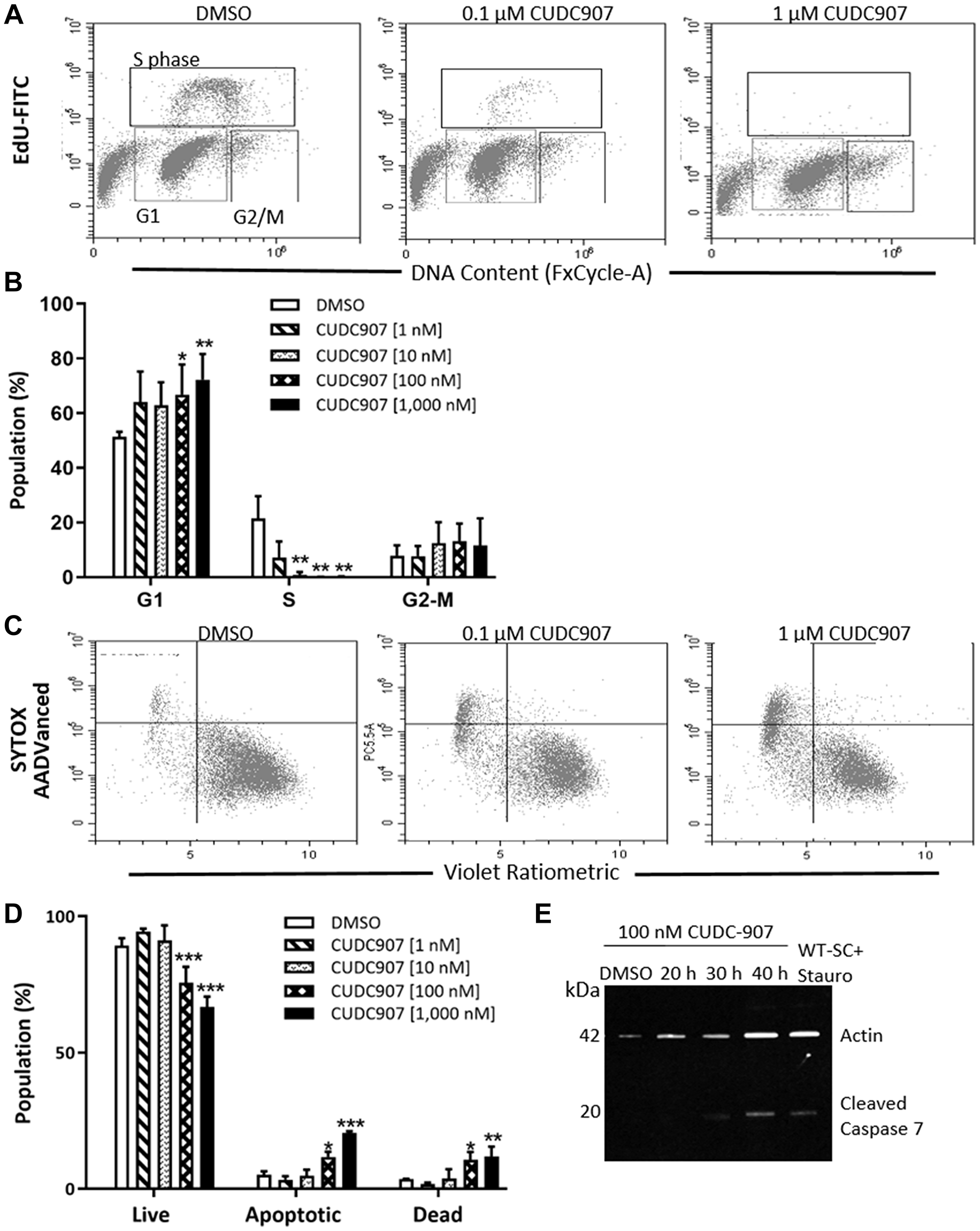 CUDC907 promotes cell cycle arrest and apoptosis of human MD-SC in vitro.
