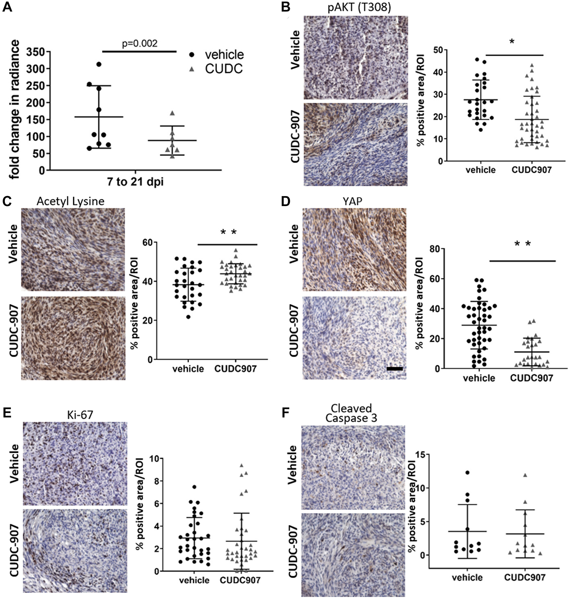 CUDC907 slows intraneural growth of mouse MD-SC.