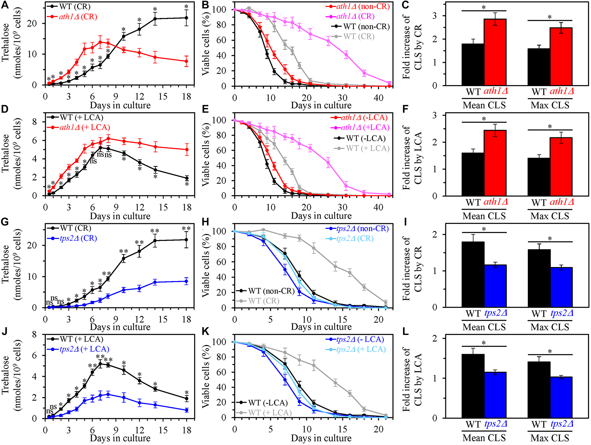 The single-gene deletion mutations that increase or decrease the intracellular concentration of trehalose alter the extent to which caloric restriction (CR) and lithocholic acid (LCA) prolong yeast chronological lifespan (CLS).