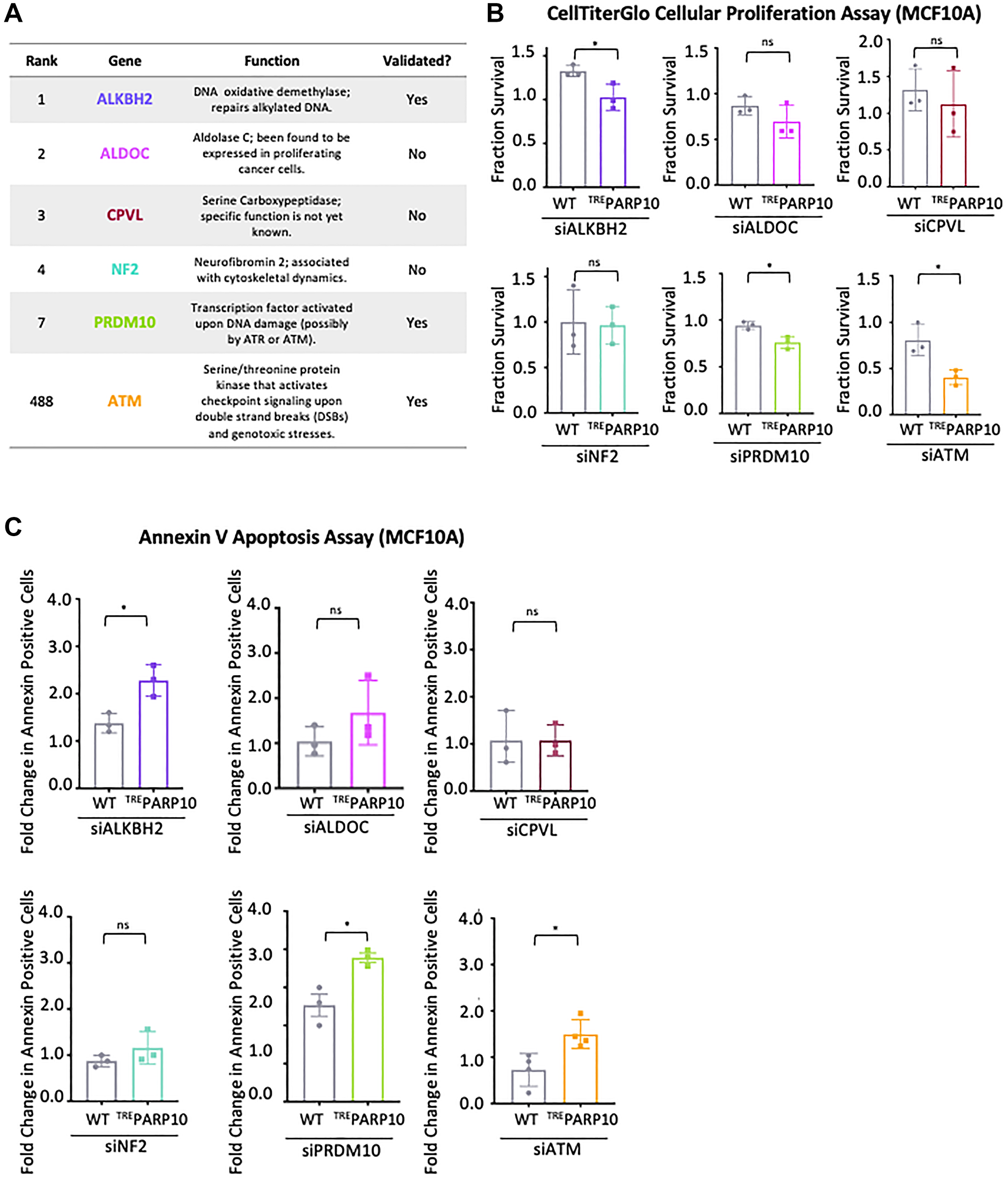 Validation of the top hits from the CRISPR screen for genetic determinants of proliferation of PARP10-overexpressing cells.