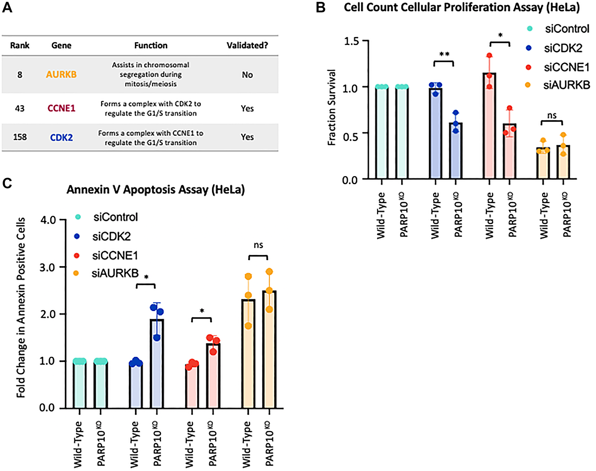 Validation of the top hits from the CRISPR screen for genetic determinants of proliferation of PARP10-knockout cells.