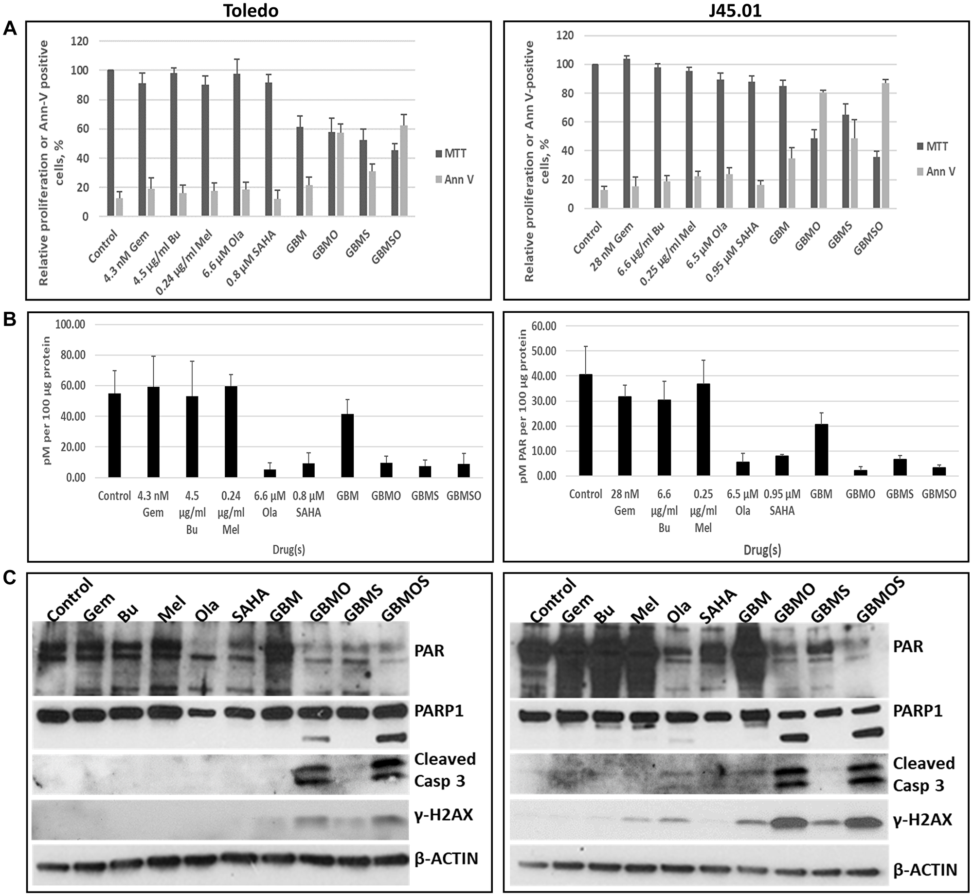 HDAC and PARP inhibitors enhance the cytotoxicity of nucleoside analog-alkylating agents in combination.