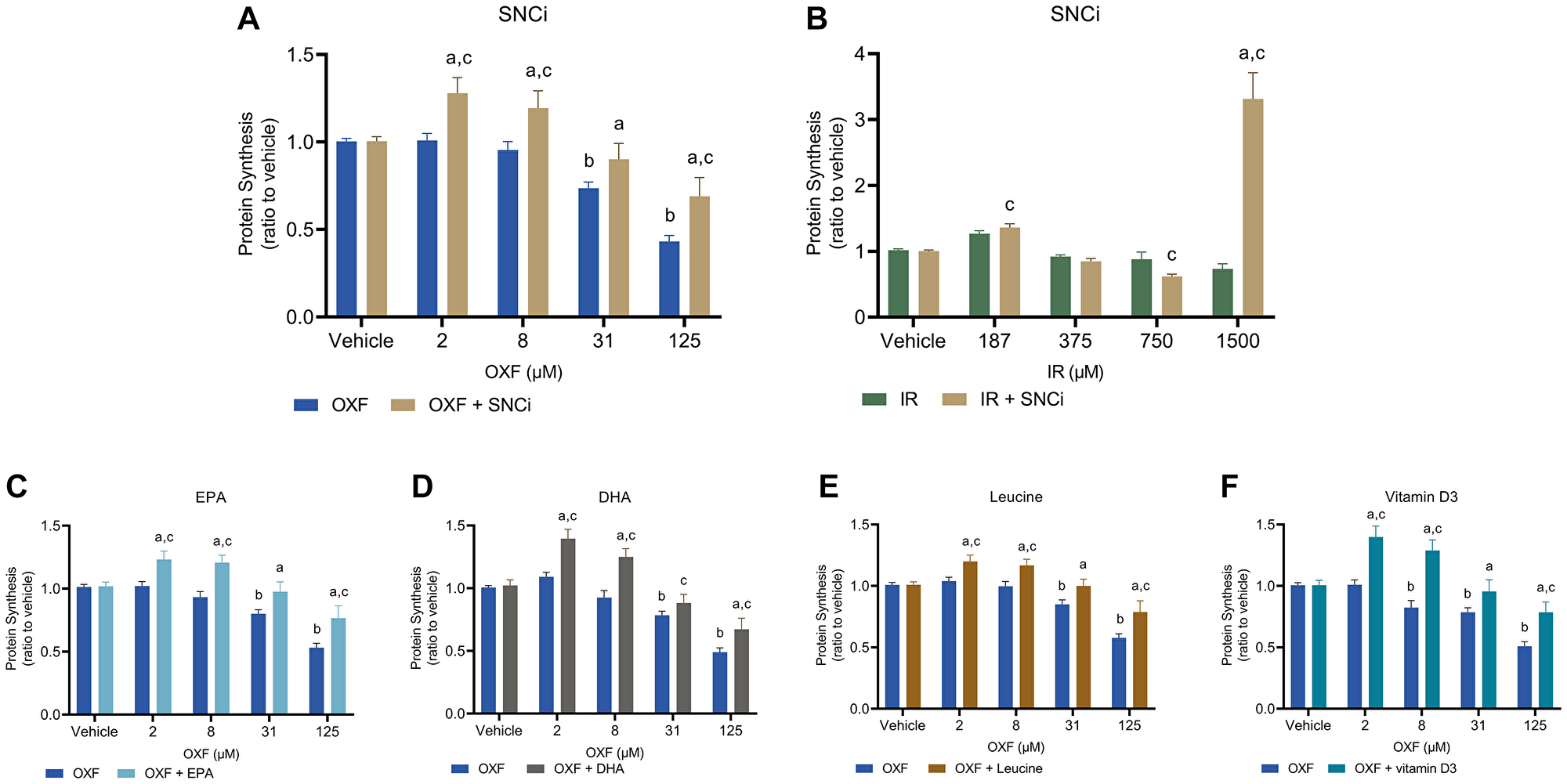 Basal protein synthesis in C2C12 myotubes after 48 h chemotherapy treatment with individual nutrients or SNCi.