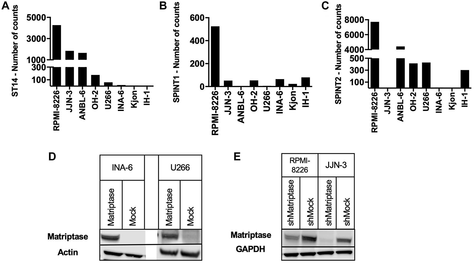 Matriptase, HAI-1 and HAI-2 expression in human myeloma cell lines.
