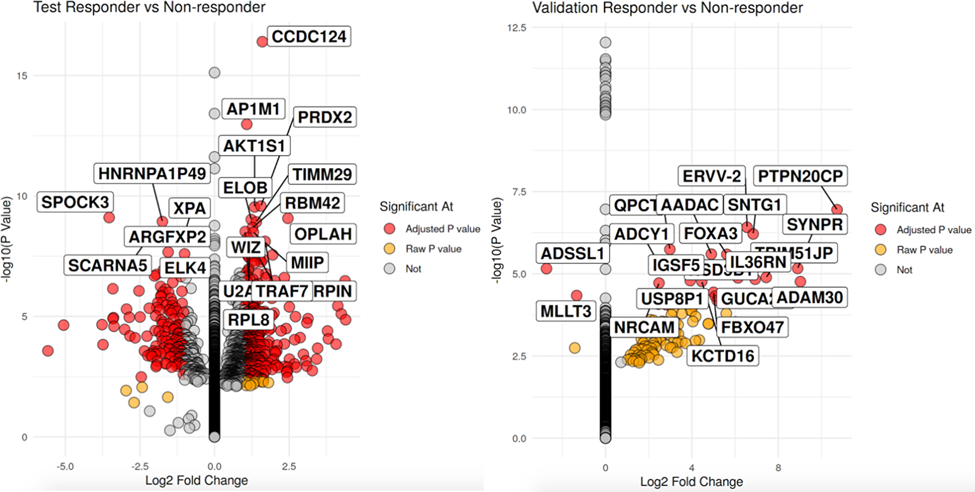 Volcano plot of significant differentially expressed genes with the left volcano being the discovery cohort and validation cohort on the right.
