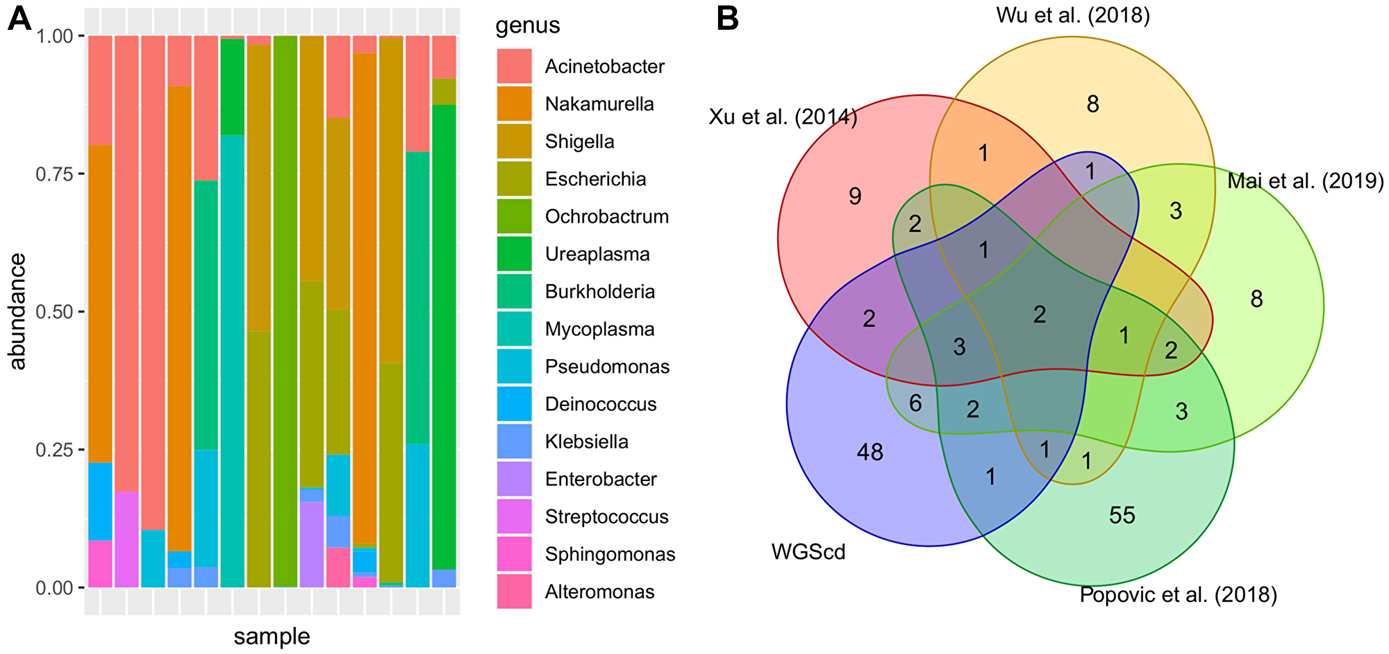 Most abundant bacteria taxa found in bladder analysis.