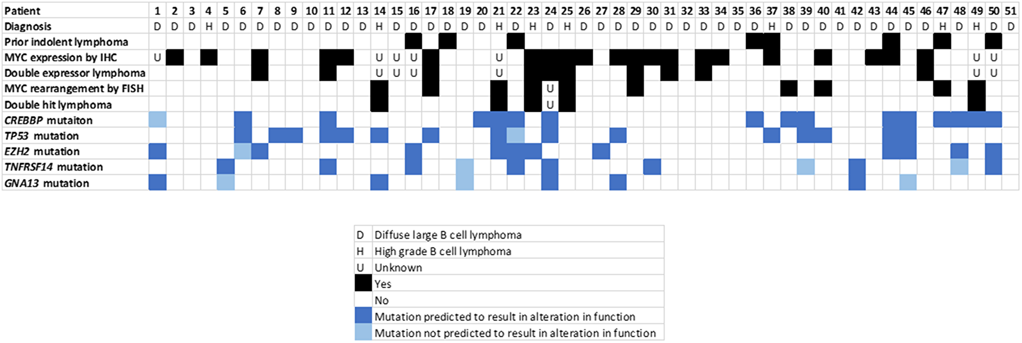 Tumor characteristics analyzed, by patient.