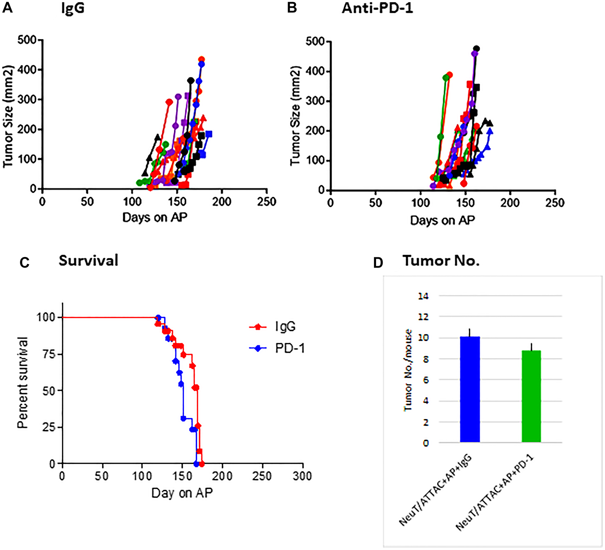 Effect of anti-PD-1 mAb treatment on tumorigenesis in NeuT/ATTAC mice.