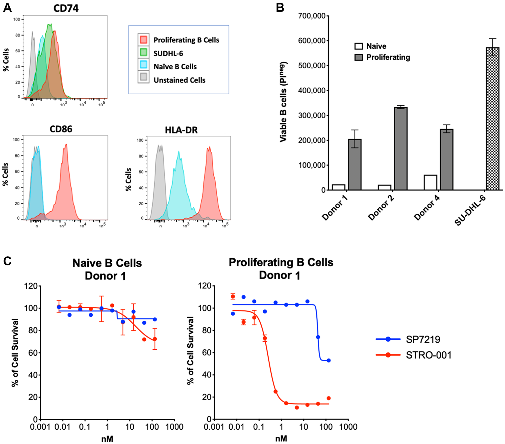 STRO-001 showed potent cell killing activity on proliferating primary human B cells.