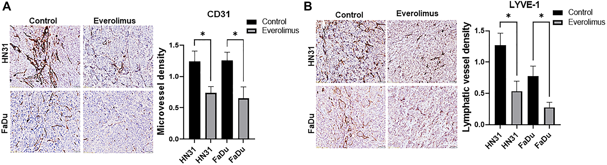 Everolimus reduces microvessel density (MVD) and lymphatic vessel density (LVD) in TP53 mutant HNSCC xenografts.