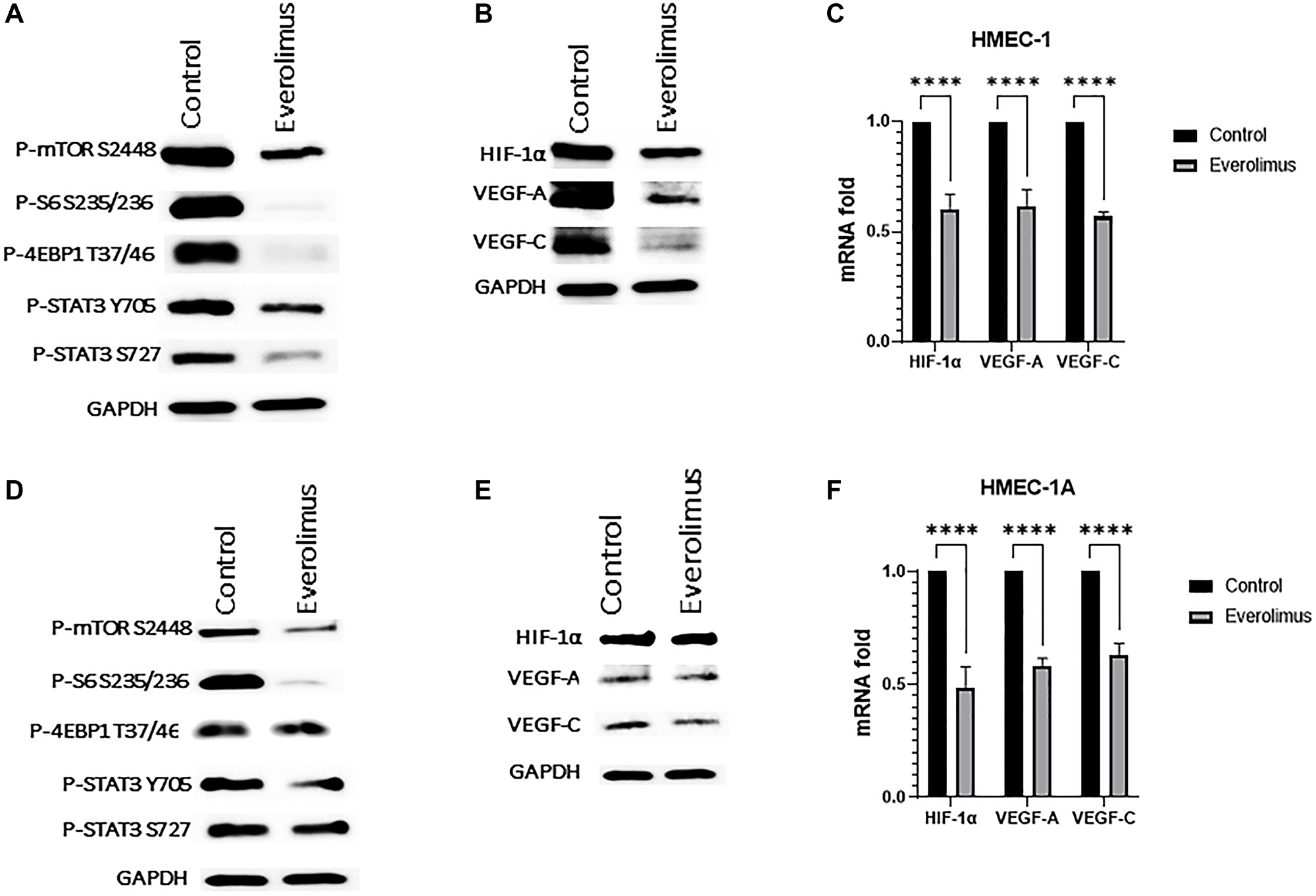 Everolimus inhibits mTORC1/STAT3 pathway and downregulates HIF-1α, VEGF-A and VEGF-C in HMEC-1 and HMEC-1A cells.