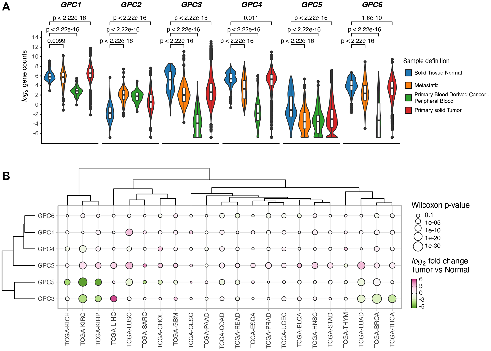 GPCs display sample specific and cancer type specific gene expression differences.