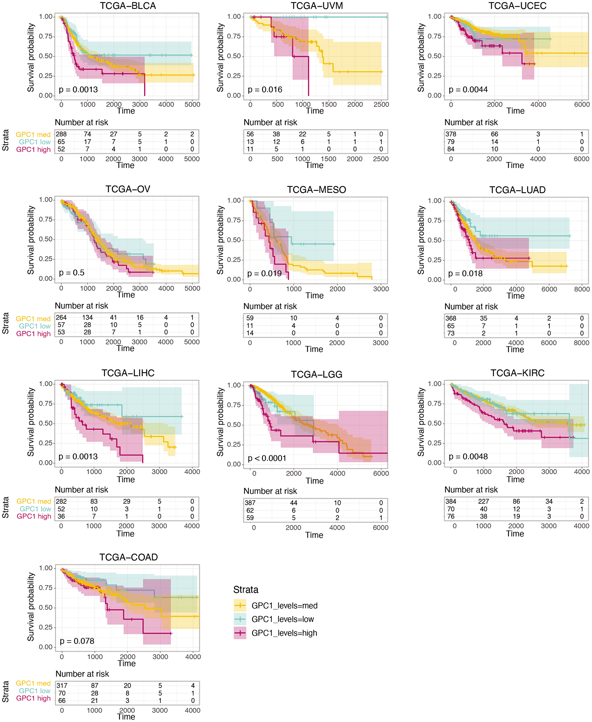 Kaplan-Meier curves of the survival probability of GPC1 expression strata in indicated TCGA projects where higher expression level is associated with poor prognosis in these particular cancer types.