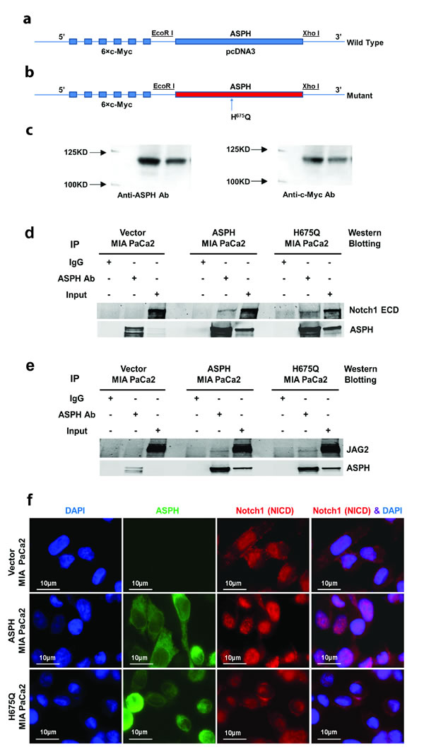 Fig. 4: