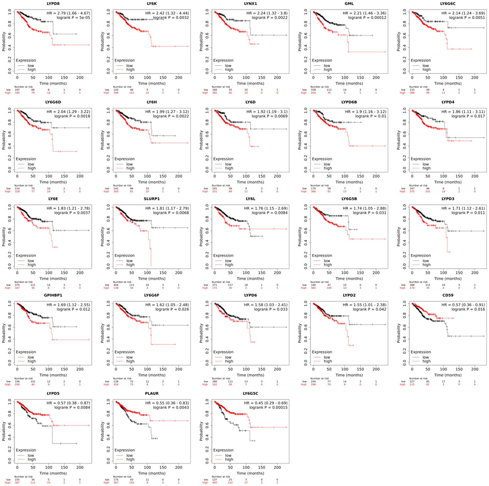 Overall patient survival in uterine corpus endometrial carcinoma (n = 543) based on high and low mRNA expression of a given human LY6 gene.