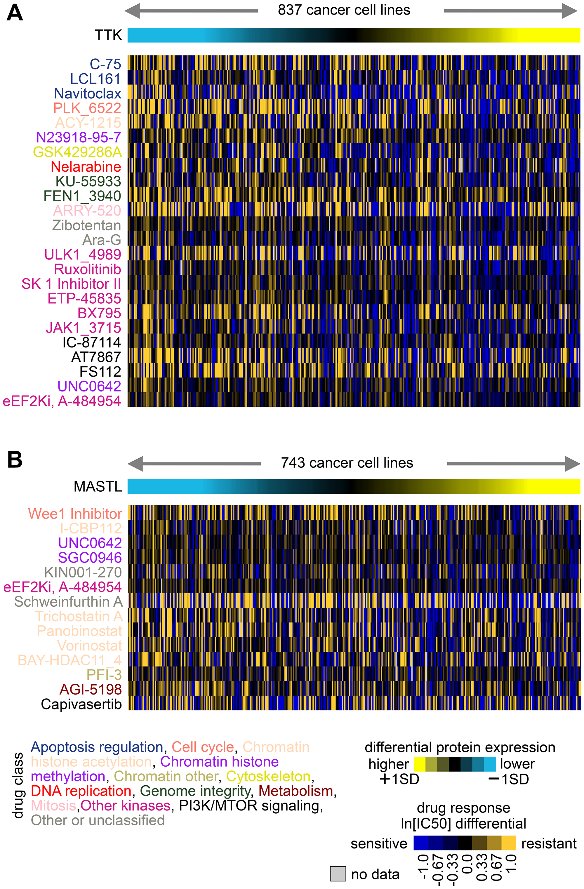 Associations of TTK and MASTL protein expression with drug responses across cancer cell lines.