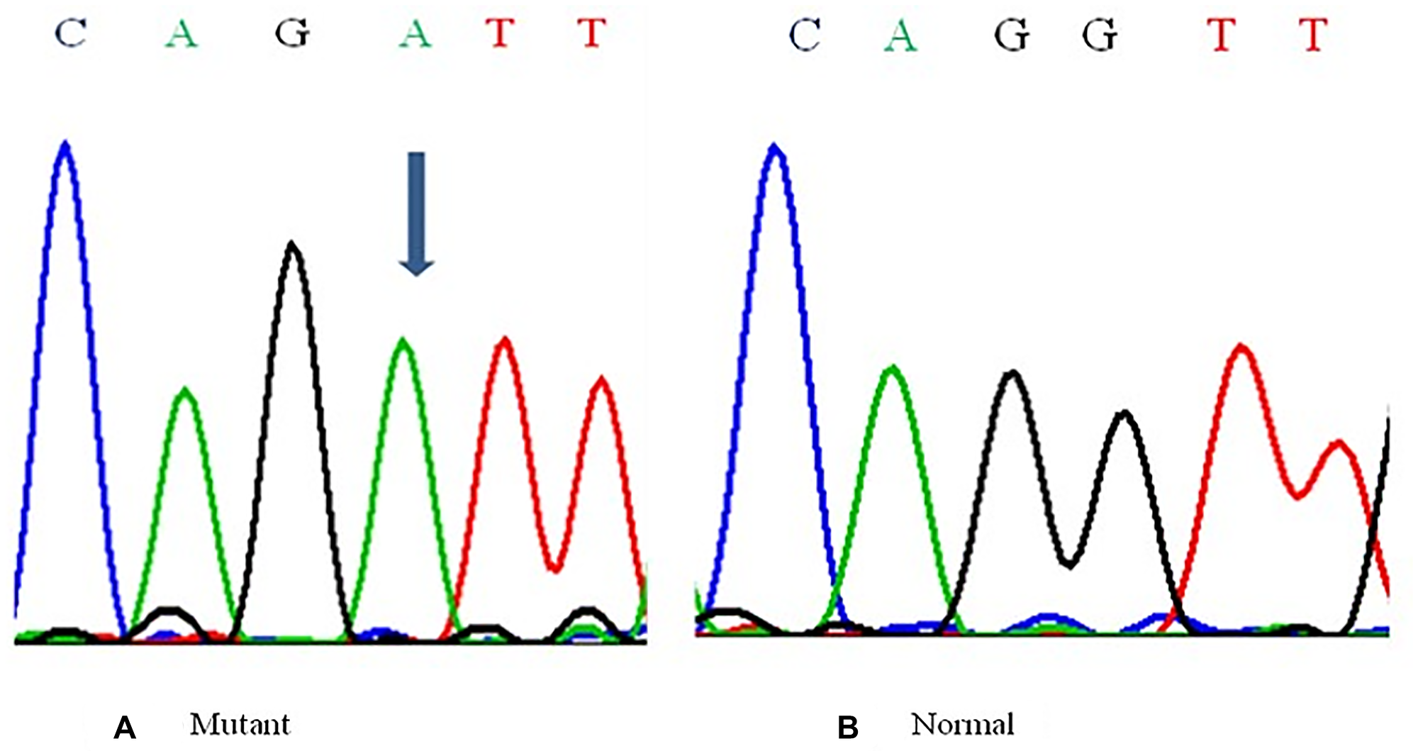 Figure 3: