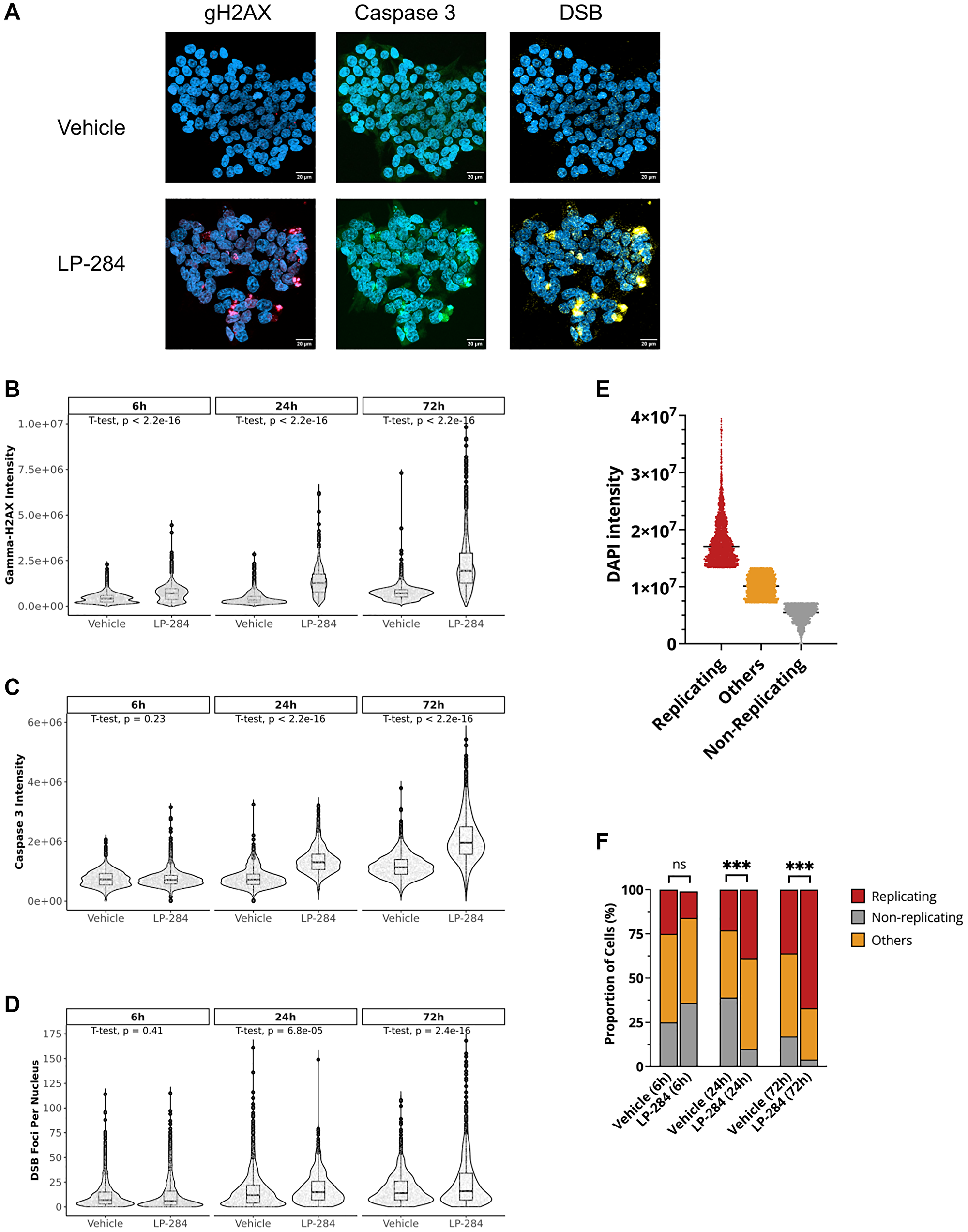 LP-284 induces H2AX phosphorylation, cell apoptosis, and DSBs.