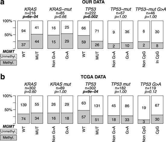 MGMT methylation and mutations in KRAS &#x0026; TP53 in CRC without MSI.