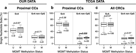 MGMT methylation and somatic G &#x003E; A transition mutations in CRC without MSI.