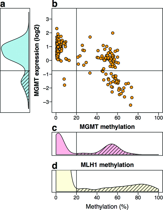 MGMT methylation and expression in silico TCGA data of 222 CRC.