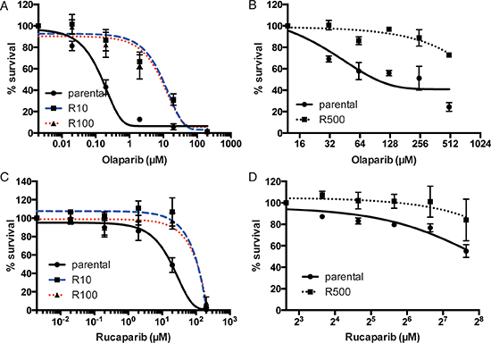 Sensitivity to PARP inhibitor in UWB1.289 cells.