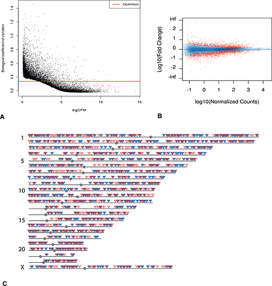 Transcriptome overview.