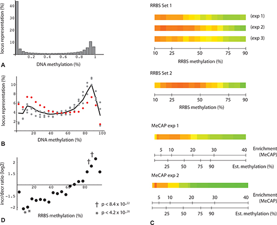 Bimodal distribution and change in DNA methylation levels.