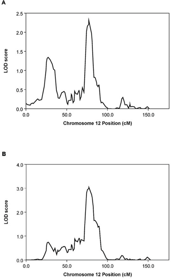 Graphical summary of MERLIN npl analysis on chromosome 12.