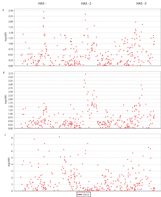 Manhattan plots of association results.