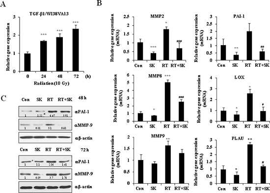 SKI2162 (SK), an inhibitor of ALK5, suppressed radiation-induced fibrosis (RIF)-related genes.