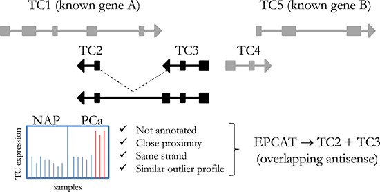 Principle steps of EPCAT identification.