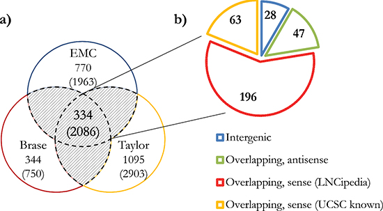 Total number and classification of EPCATs.